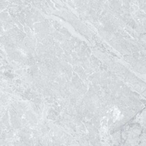 Gạch ốp lát Polish Viglacera 60x60 ECO636