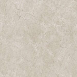 Gạch ốp lát Polish Viglacera 30x60 ECOB3602