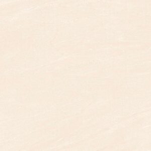 Gạch ốp lát Matt Viglacera 60x60 ECOM6908