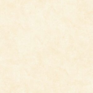 Gạch ốp lát Matt Viglacera 60x60 ECOM621