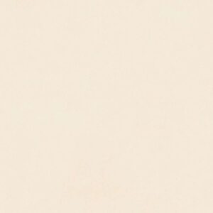 Gạch ốp lát Matt Viglacera 60x60 ECOM625
