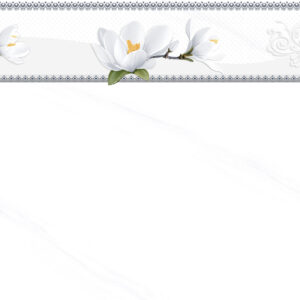 Gạch Hoàn Mỹ Vân calacatta 30x60 04623