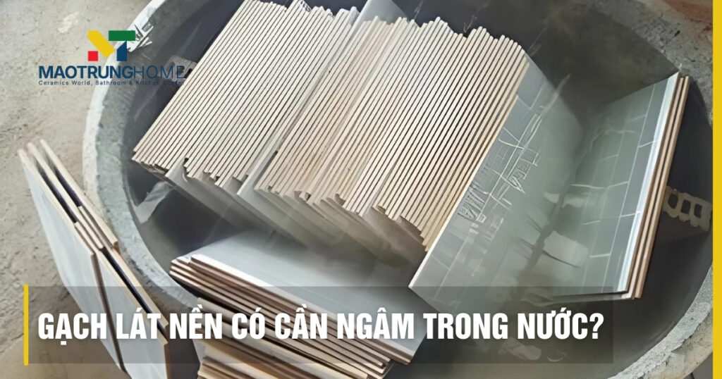 Gạch lát nền có cần ngâm nước: Khi nào cần, không và mẹo nhận biết