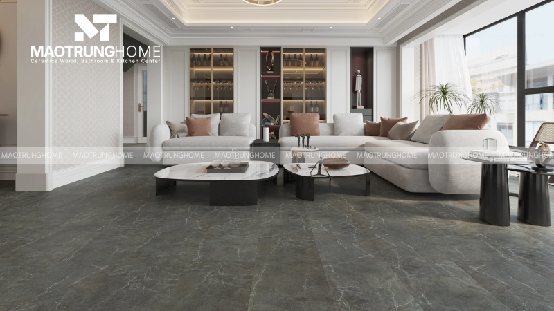 Gạch cho phòng khách (Mẫu 4)