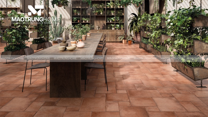 Gạch Cotto (Gạch đỏ) (Mẫu 4)