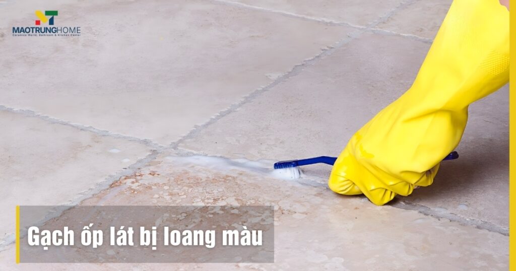 Gạch ốp lát bị loang màu: Nguyên nhân và cách xử lý tận gốc