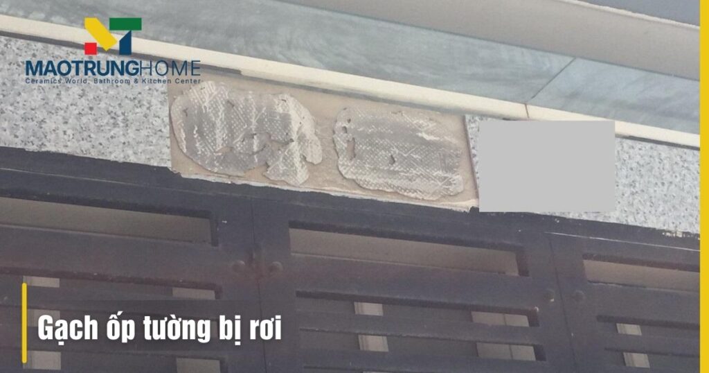 Gạch ốp tường bị rơi