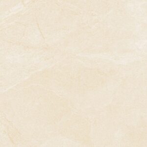Gạch ốp lát Polish Viglacera 80x80 CL4-GP8805