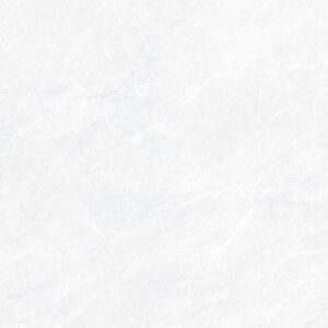 Gạch ốp lát Polish Viglacera 80x80 CL6-GP8801