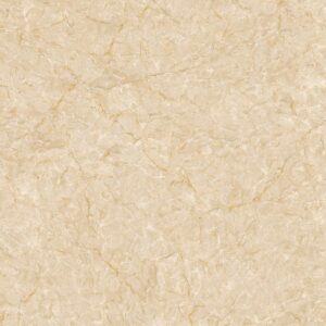 Gạch ốp lát Glossy Viglacera 50x50 SH-CE504