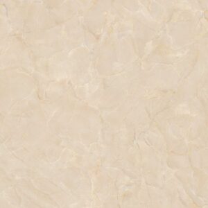 Gạch ốp lát Glossy Viglacera 50x50 SH-CE508