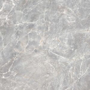Gạch ốp lát Glossy Viglacera 50x50 SH-CE509