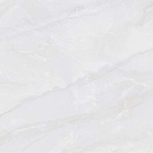 Gạch ốp lát Polish Viglacera 30x60 SHGP3601