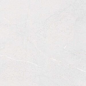 Gạch ốp lát Polish Viglacera 30x60 SHGP3605