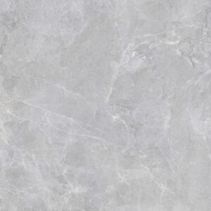 Gạch ốp lát nan Viglacera 80x80 SH10-GP8802