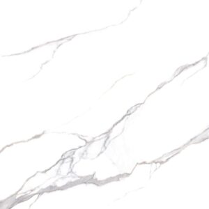 Gạch ốp lát Polish Viglacera 100x100 SH51-9GP101001