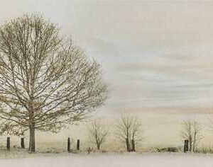 Vgres Gạch Đá Giả Gỗ / Giả Cổ KTS 30x60 VG36611HA