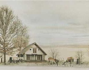 Vgres Gạch Đá Giả Gỗ / Giả Cổ KTS 30x60 VG36611HB