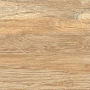 Vgres Gạch Bán Sứ Bóng 60x60 VG6006