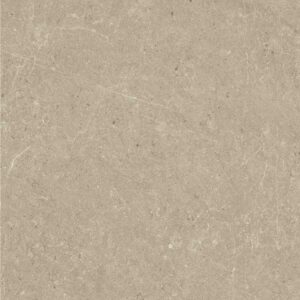 Vgres Gạch Bán Sứ Mờ 60x60 VG6032