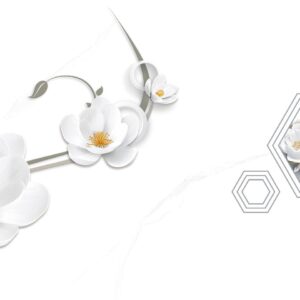 Gạch Hoàn Mỹ Vân calacatta 30x60 87608