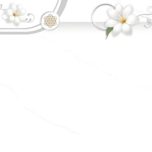 Gạch Hoàn Mỹ Vân calacatta 30x60 89609