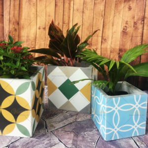 Chậu hoa mỹ thuật 20x20 CH-5