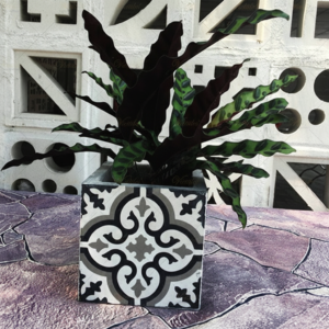 Chậu hoa mỹ thuật 20x20 Cement tile flower pot 15x15