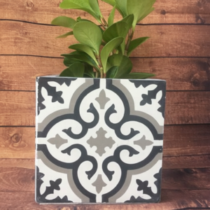 Chậu hoa mỹ thuật 10x100 mm [4 Flower pot 10x10