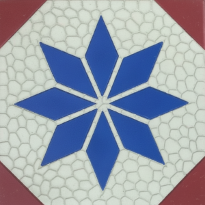 Gạch bông bề mặt rãnh 3D 20x20 V20R-012-T-02