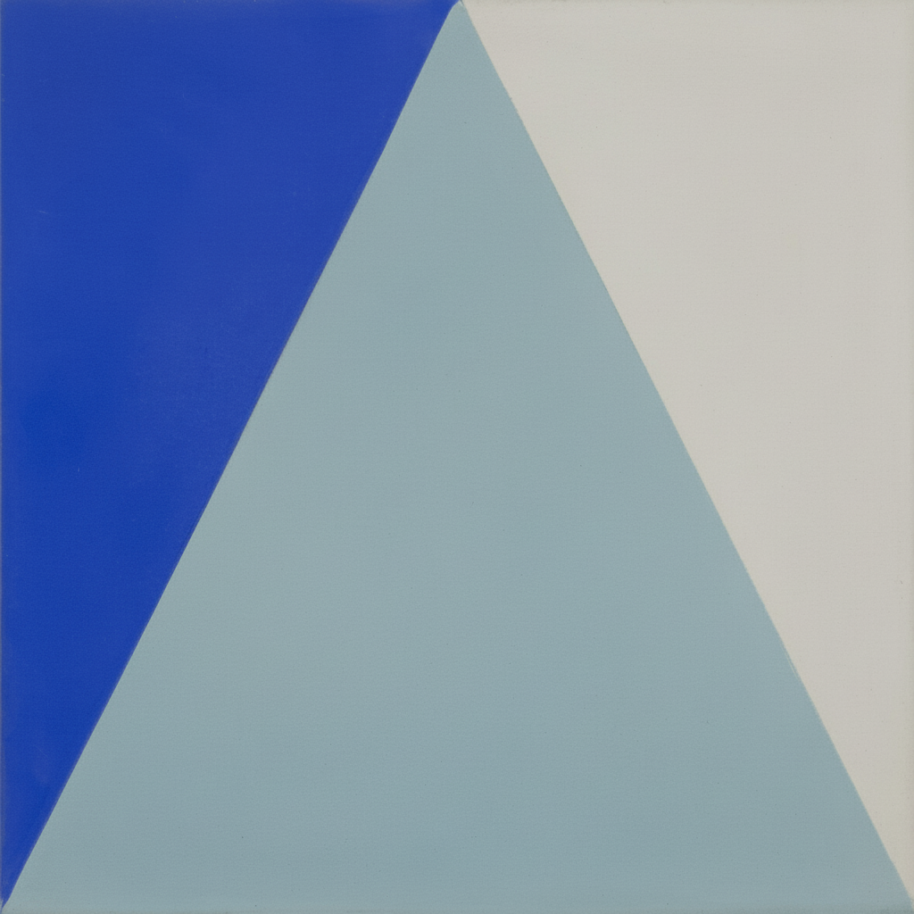 Gạch bông vuông 25x25 V25-003 - Ảnh 6