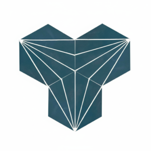 Gạch bông lục giác 23x200 m VH23-027-T02