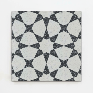 Gạch bông đá mài vuông 20x20 VT20-271-T02