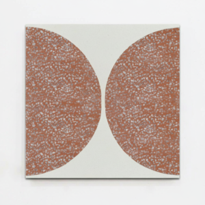 Gạch bông đá mài vuông 20x20 VT20-429-F01