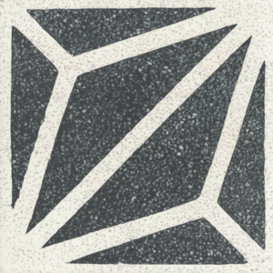 Gạch bông đá mài vuông 20x20 VT20-495-T-01