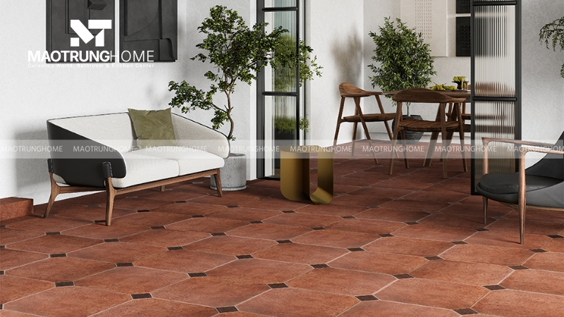 Sân vườn và không gian ngoại thất