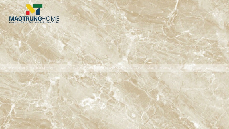 Gạch có độ hút nước thấp dưới 0.05%