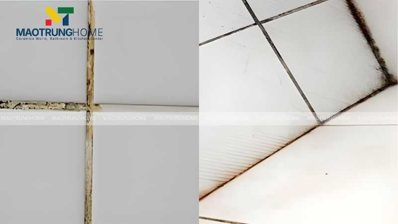 Mạch gạch bị đen và ố vàng