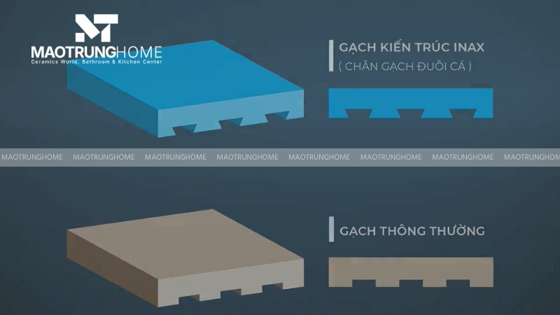 Thiết kế chân gạch INAX kiểu đuôi cá