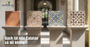 Gạch lát nền Catalan có tốt không? Review chi tiết độ bền và giá