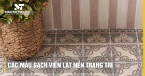 Các mẫu gạch viền lát nền trang trí đẹp và sang trọng nhất 2026