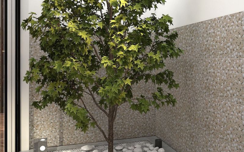 Ốp tường trang trí kiến trúc