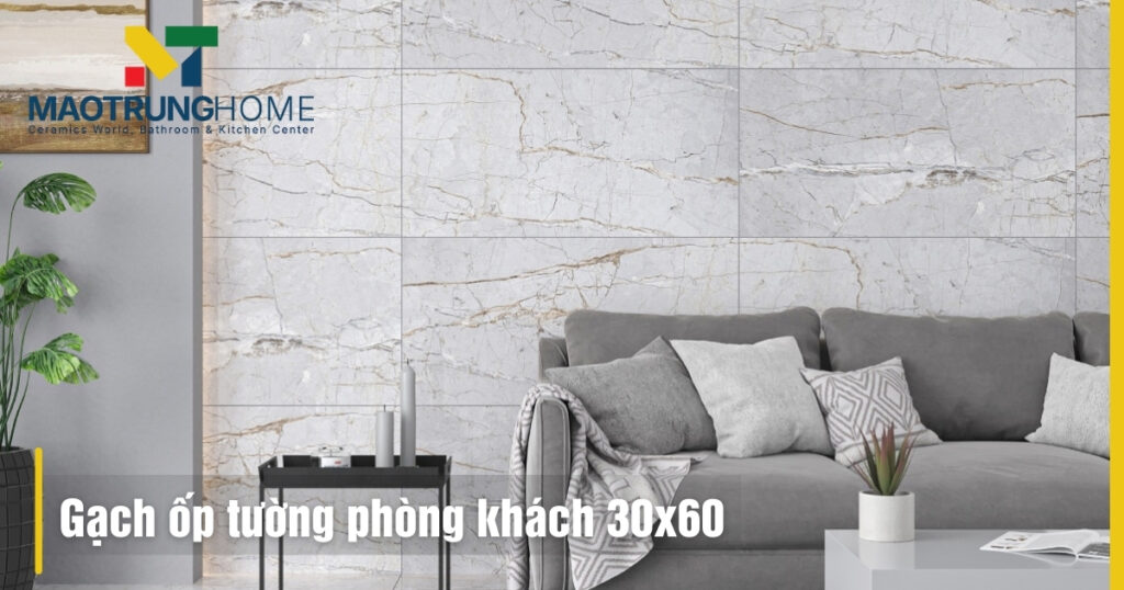 Các mẫu gạch 30x60