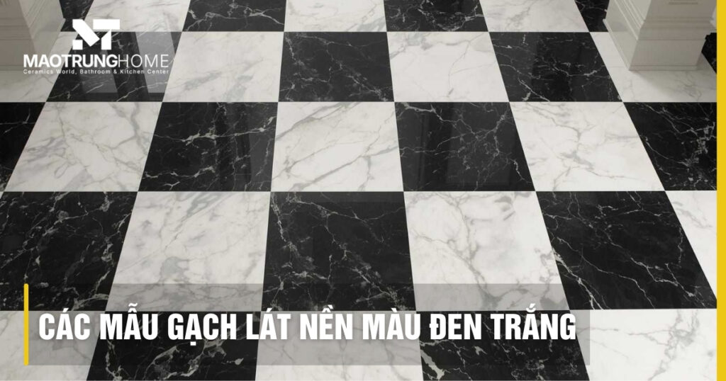 Top các mẫu gạch lát nền màu đen trắng đẹp và sang trọng 2026