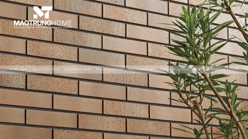 Nhóm gạch INAX phong cách mộc mạc và cổ điển (Mẫu 1)