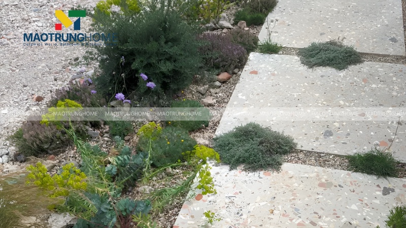 Gạch Terrazzo ép thủy lực (Mẫu 5)