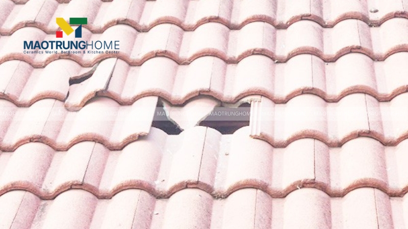 Ngói bị nứt vỡ hoặc sứt mẻ do tác động ngoại lực