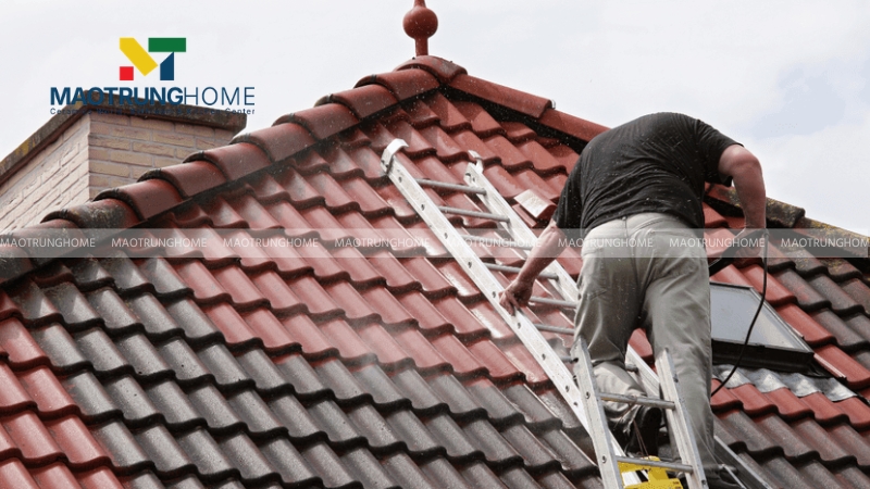 Thời điểm phù hợp nhất là cuối mùa khô (khoảng tháng 3 - 4)