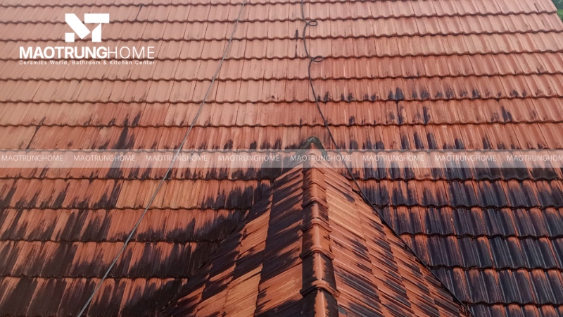 Mái ngói bị bẩn và rêu mốc