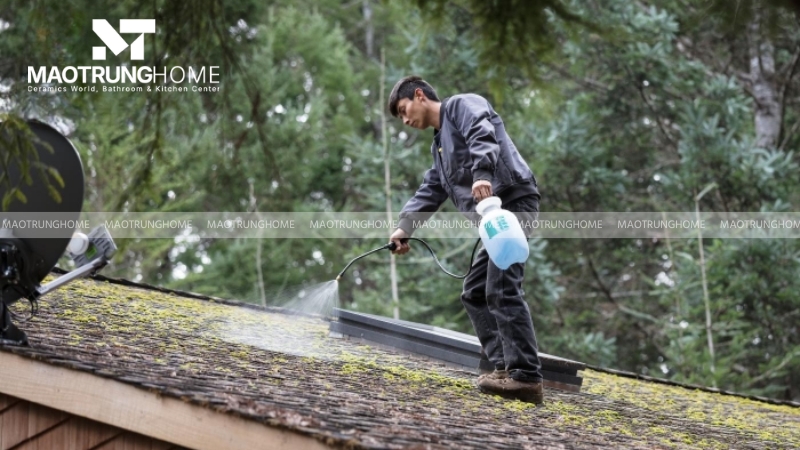 Sử dụng hóa chất tẩy rêu mốc chuyên dụng